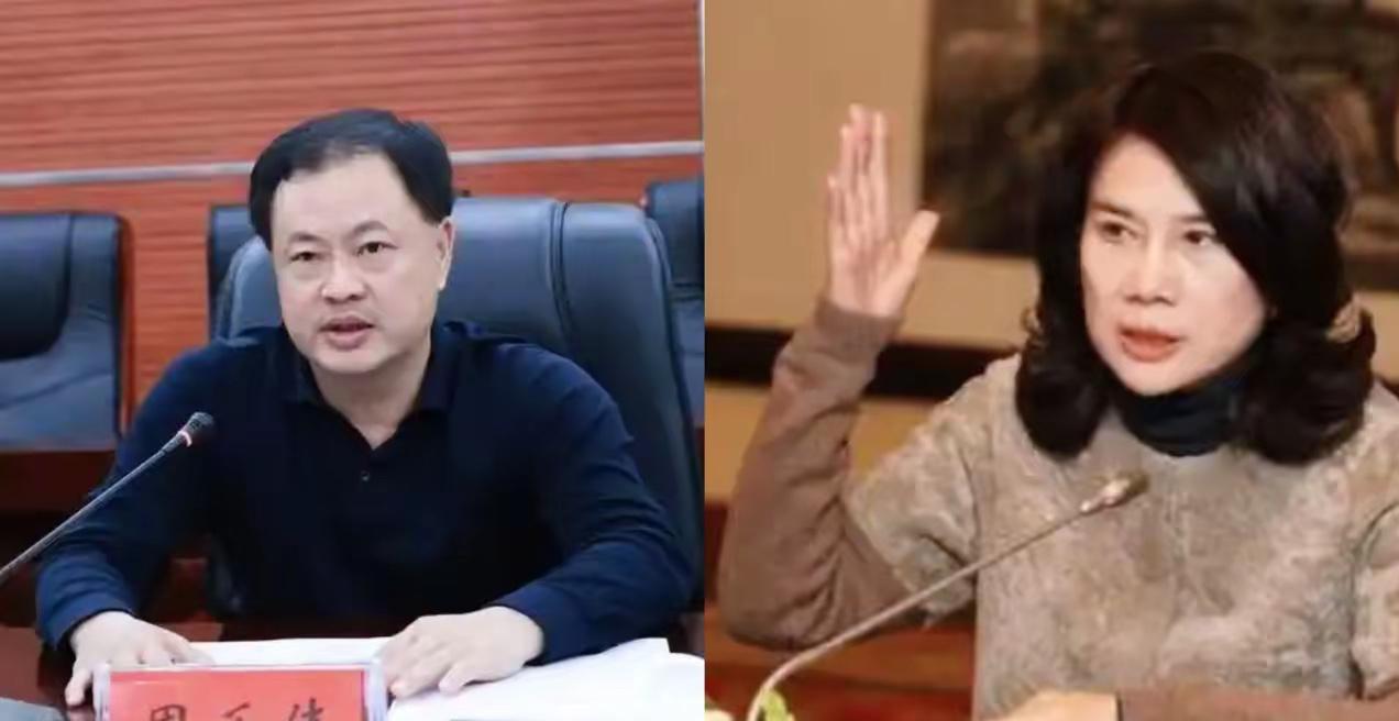 周乐伟突然主动投案，瞬间撕开了格力当年那场资本大戏的旧伤疤。很多人只记得董明珠