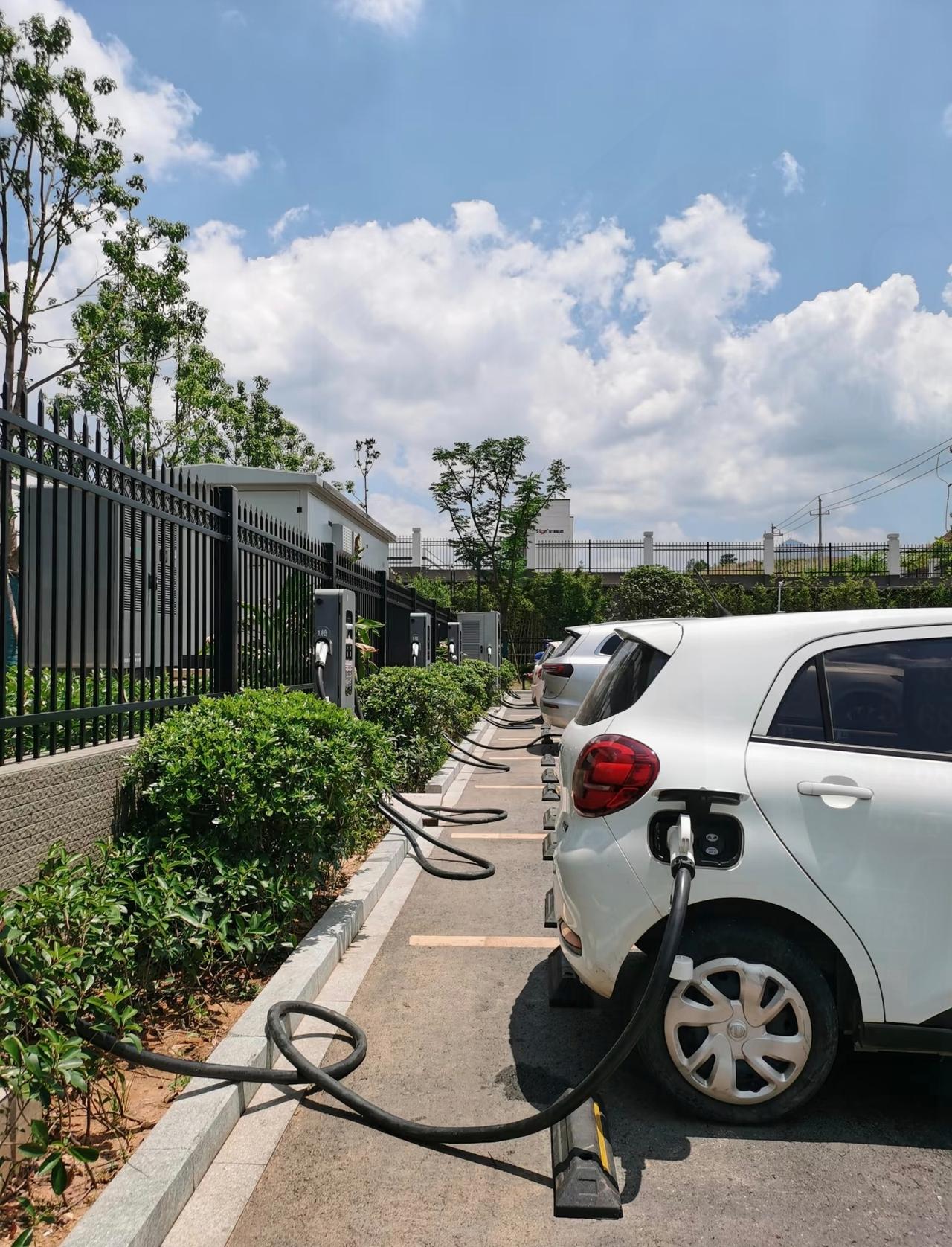 现在最无语的人，估计就是今年买电车的人了！不是电车降价了，而是现在普遍油价