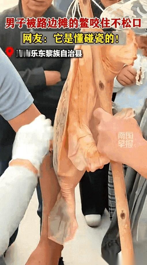 海南那个集市，真是绝了。一个大哥走得好好的，胳膊上突然多了个“挂件”——一只死