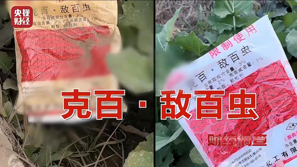 湖北天门蔬菜种植大户被曝光使用国家禁止的剧毒农药，田间农药袋子漫天飞舞，简直触目