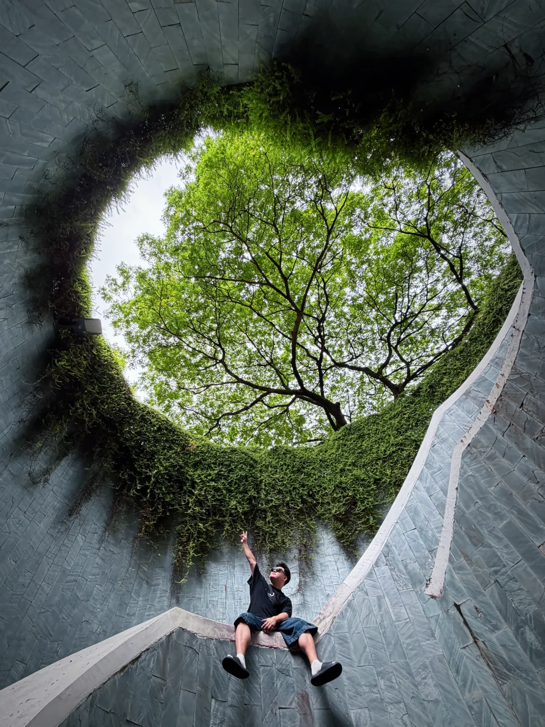 福康宁树洞公园🌳不枉我排队30分钟(出片！！)