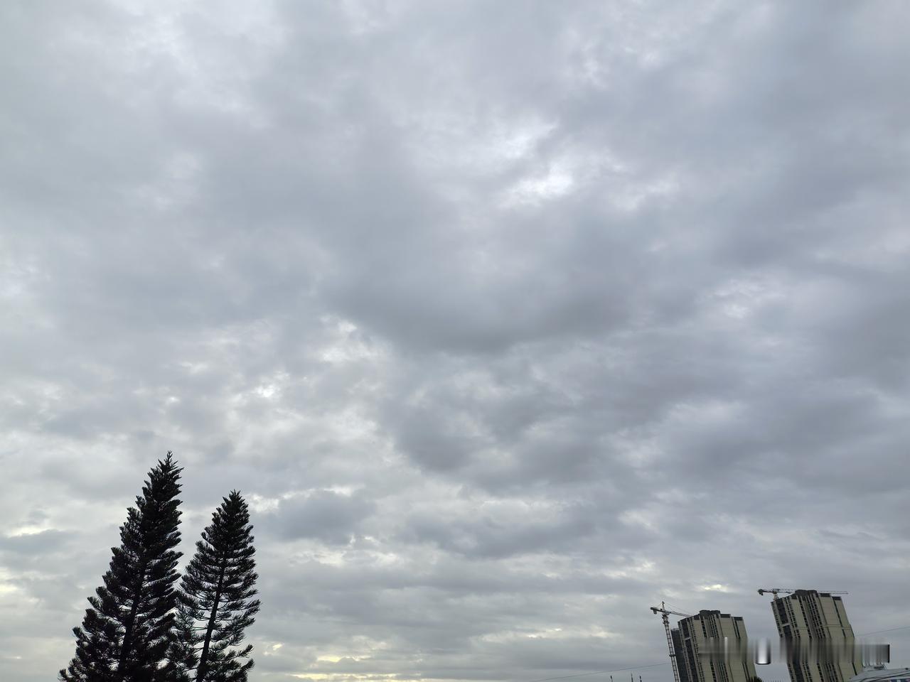 广东“干冷模式”持续！1月11日，广东受新一股冷空气影响，气温再次下降，粤