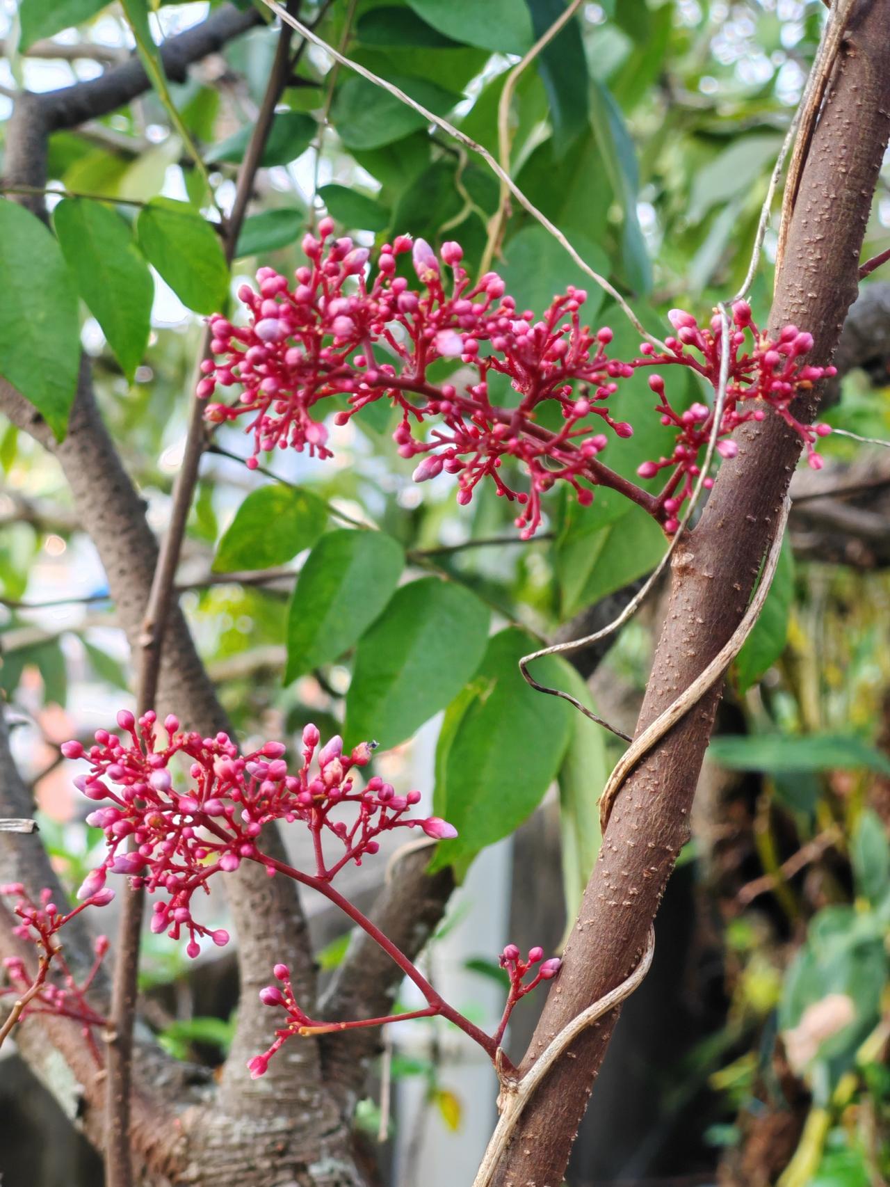 当然希望刀郎明年继续全国巡演了还没演过的大城市都来一次因为刀郎的歌和他坚持的