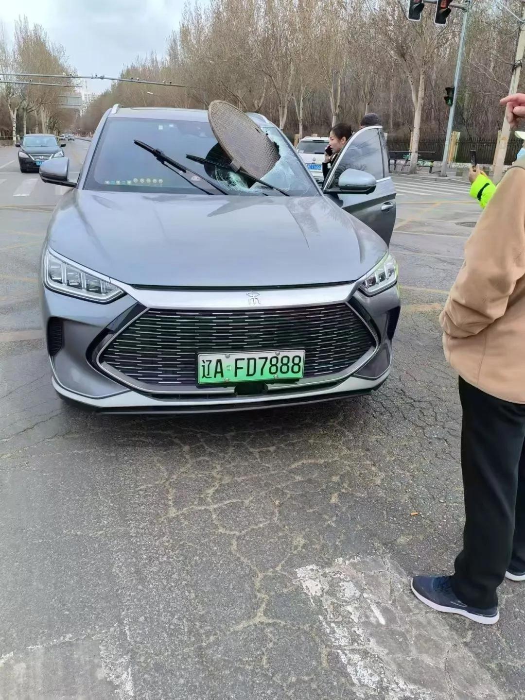 朋友们，这种情况是找保险，还是找路政？