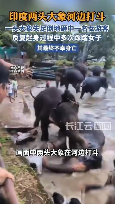 “悲剧还是发生了！”印度，一头处于发情期的雄性大象在河边洗澡时，突然跟同伴打了