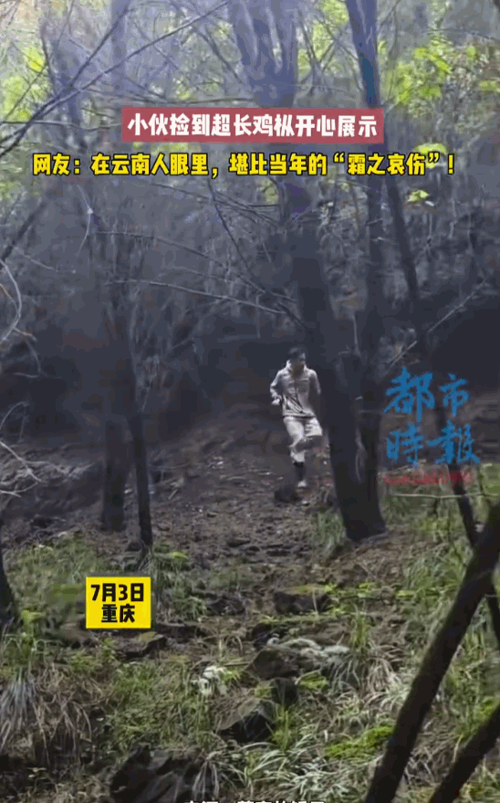 天降横财！重庆小伙进山闲逛，意外收获一根接近小臂尺寸的超大鸡枞菌！他把这株巨型