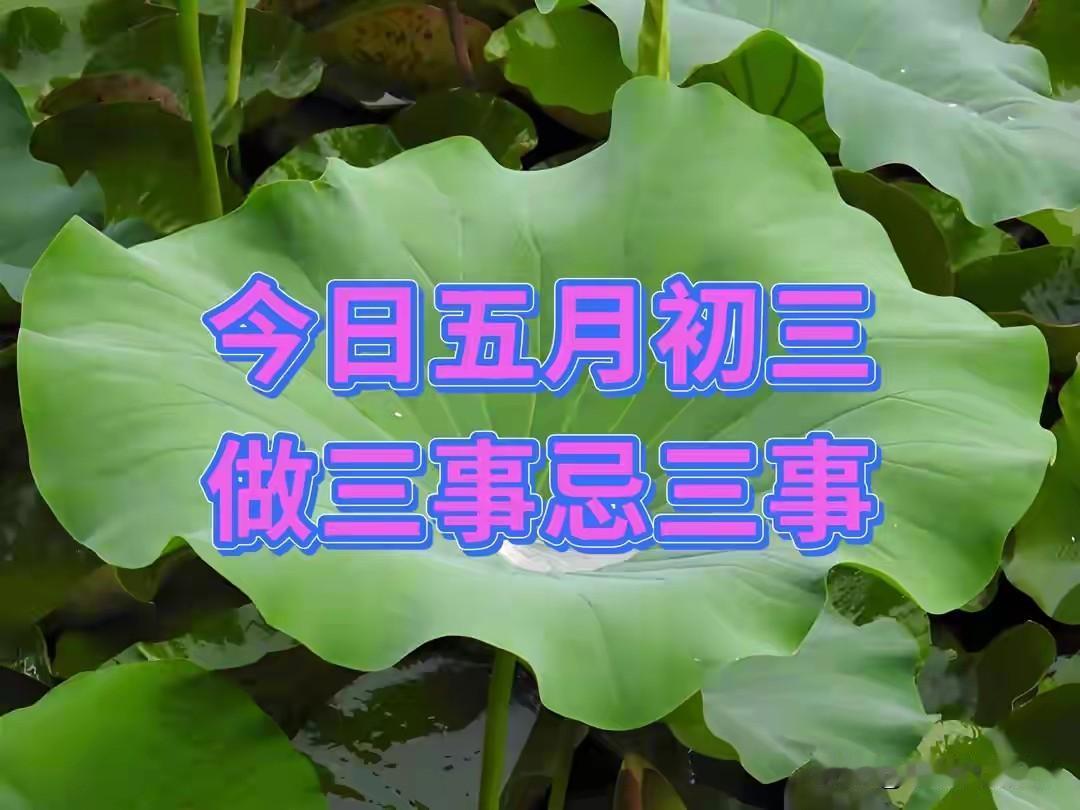 今日五月初三，做三事忌三事，为全家讨个家旺人旺、福气多多今天是农历五月初三