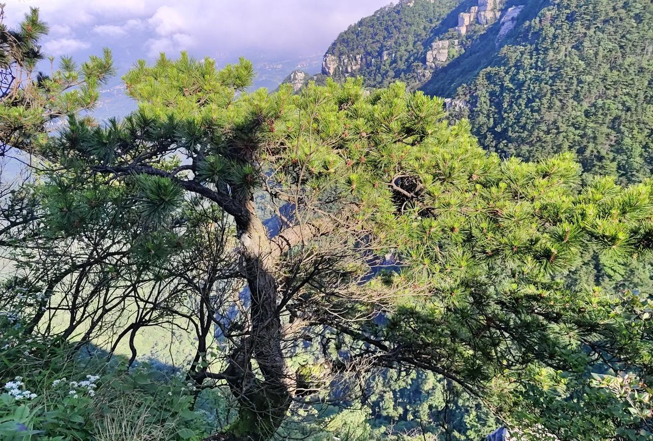 世界的运行法则，都藏在这一句话里了：“凡所有相，皆是虚妄。”我们身边所有的人