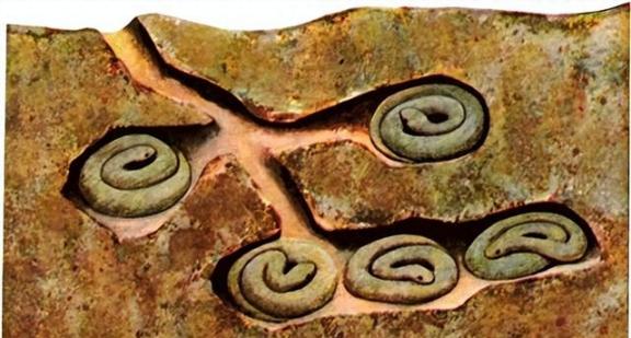 蛇冬眠的时候有多危险？一个专业捕蛇人坦言：90%的人根本想不到，一旦蛇进入冬眠，