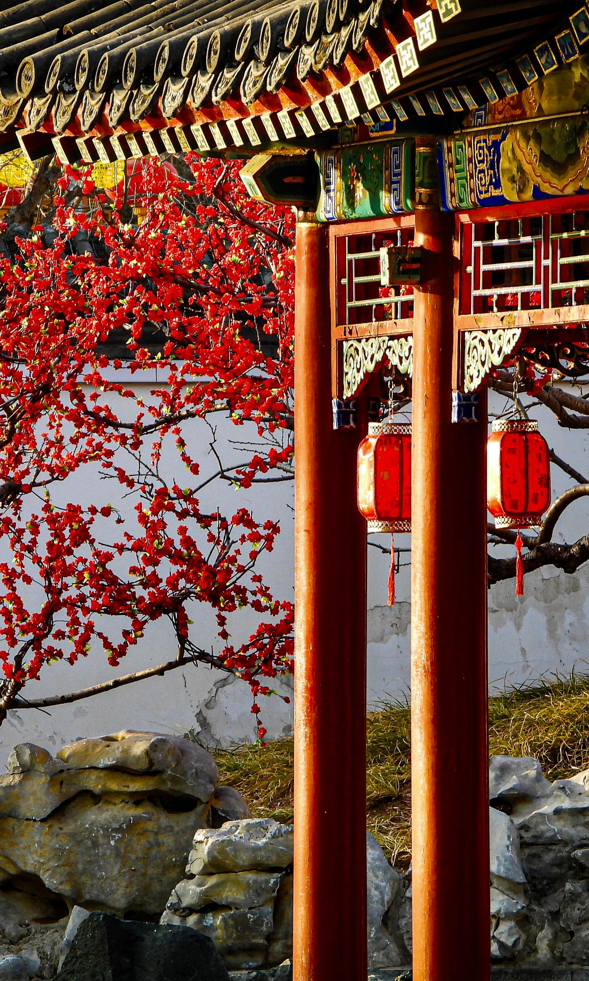 北京大观园新春美景摄影