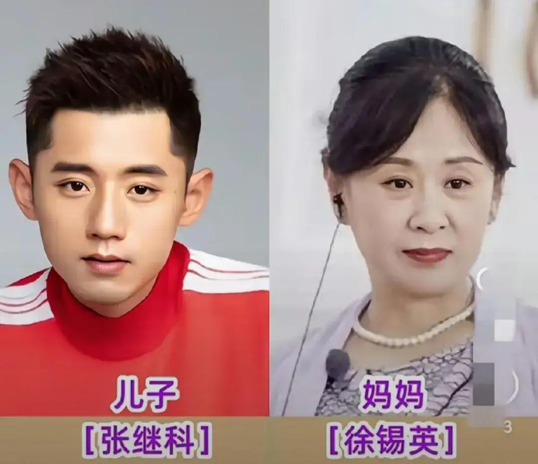 王楚钦的妈妈看起来温柔大方。陈梦的妈妈看起来温柔大方。马龙的妈妈看起来温柔大