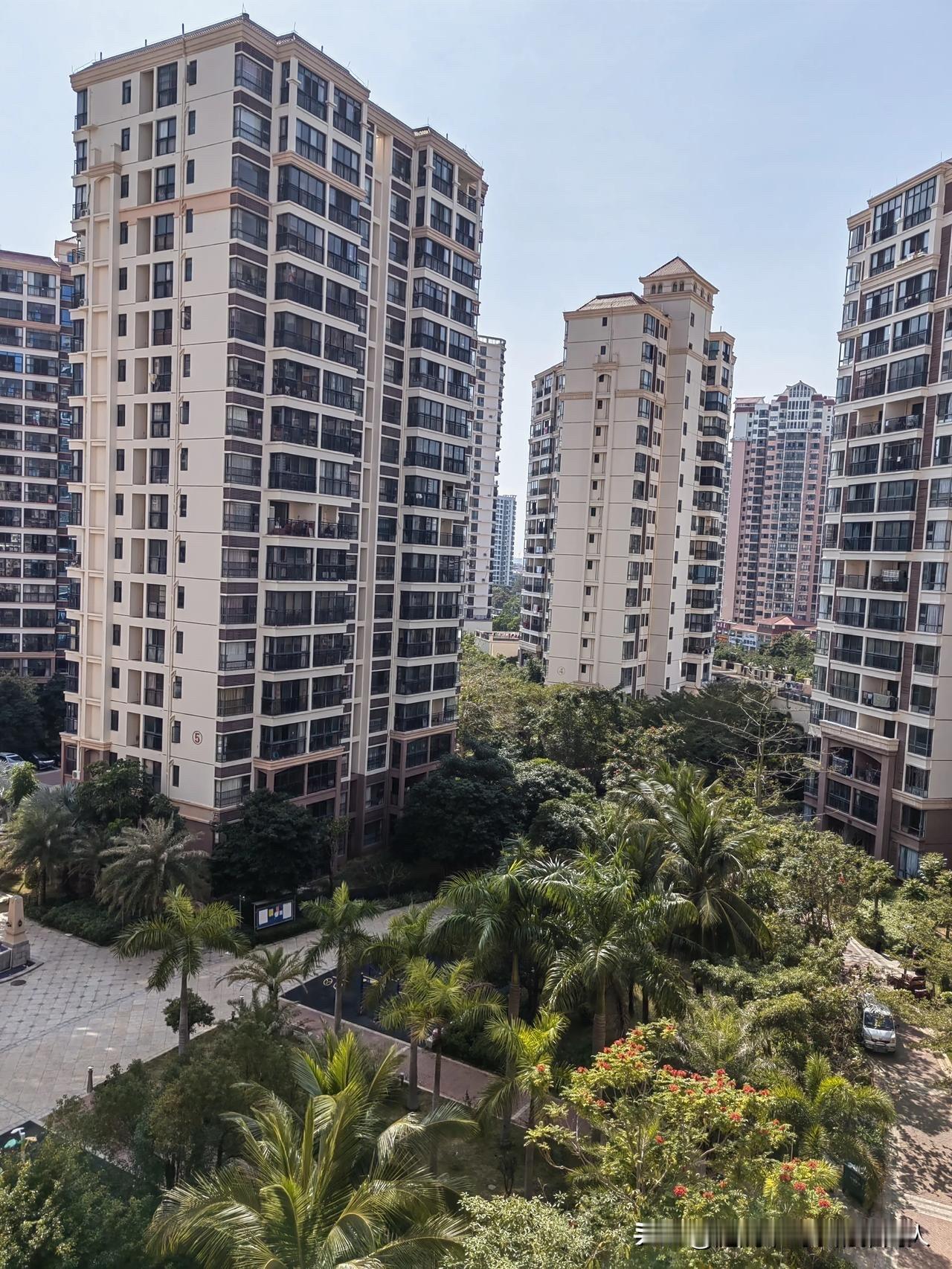 定完的婚礼取消了。邻居儿子要结婚了，婚房是两年前刚买的新房，全新装修，采光好户