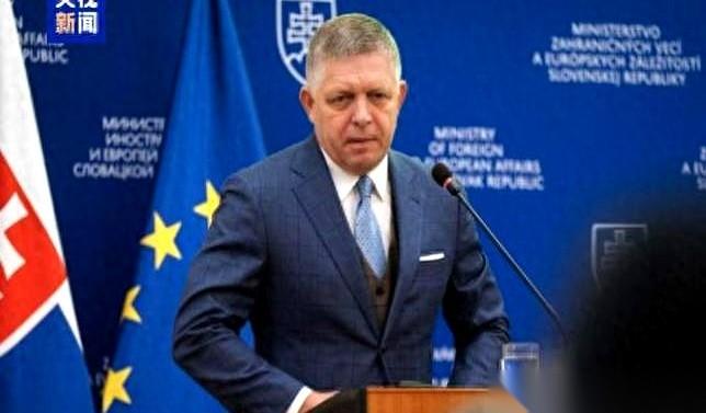 英法牵头30多个国家，刚在巴黎碰完杯，信誓旦旦要给乌克兰“安全保障”，甚至计划停