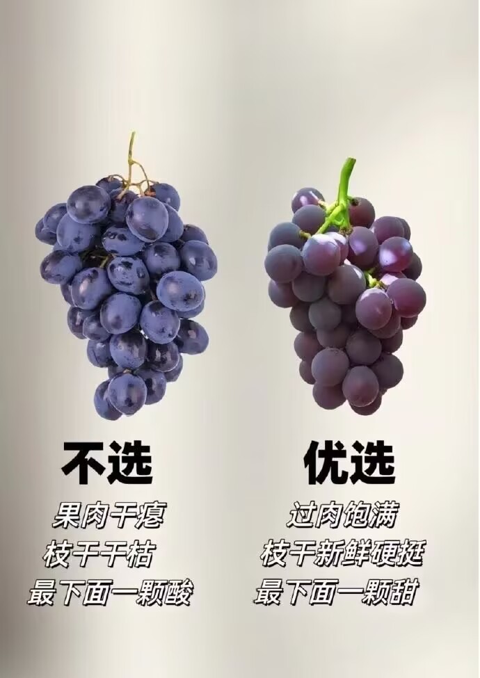 终于知道怎么挑水果了