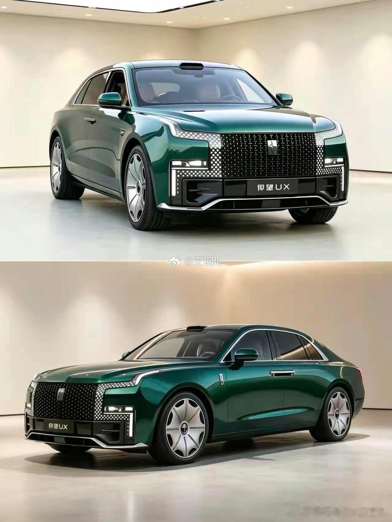 仰望行政轿车（网图气势到位了！​​​