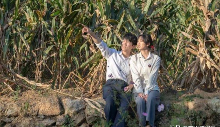 1979年，天津知青为了回城，狠心抛夫弃女！但35年后，她却在医院意外碰见前夫，