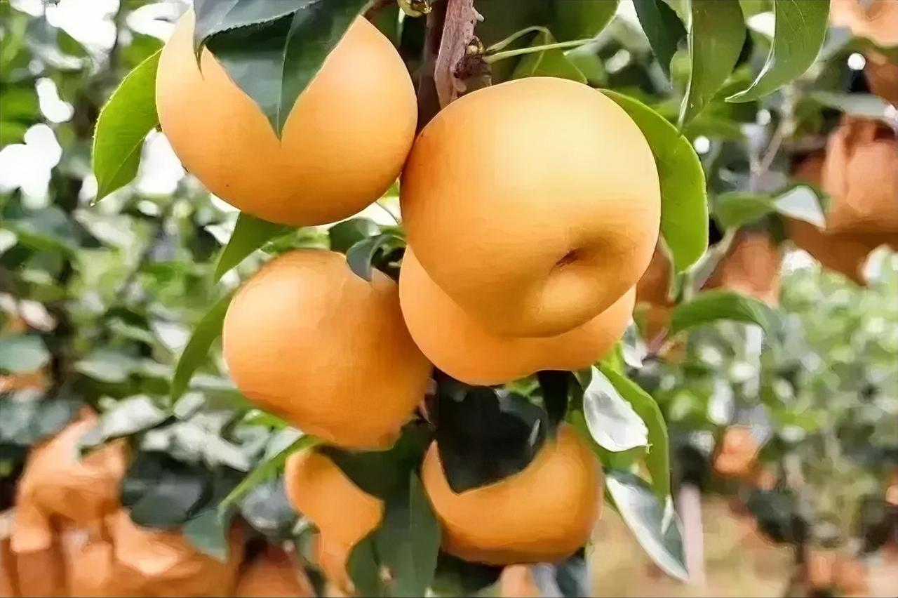 医生为什么降薪了？据报道，一些医院的医生降薪了，准确的说是绩效工资减少了。医