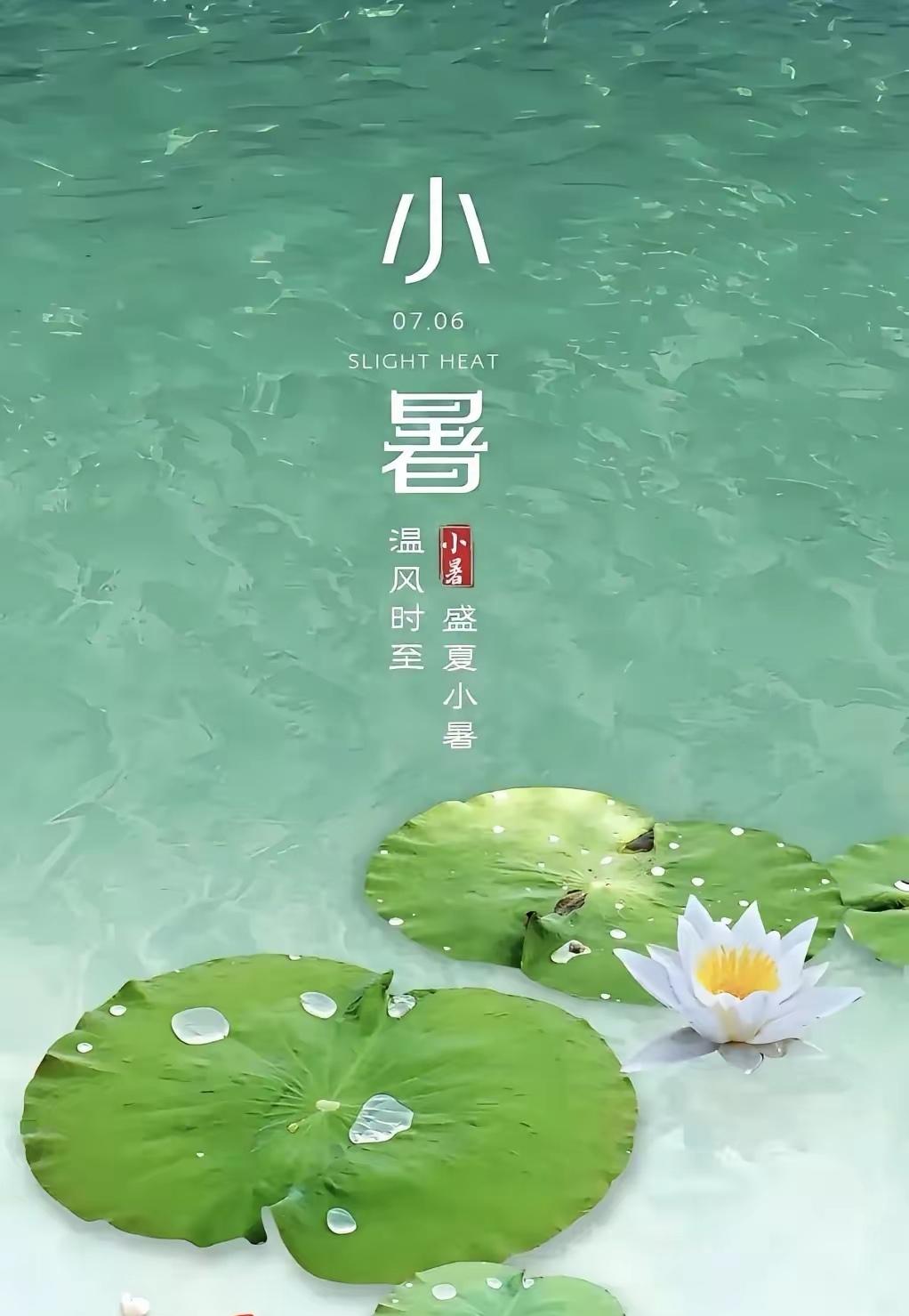 小暑，是盛夏登场，小暑是三伏的序章。万物葱茏不负夏，蝉鸣声声唱夏景。满目晴白日，