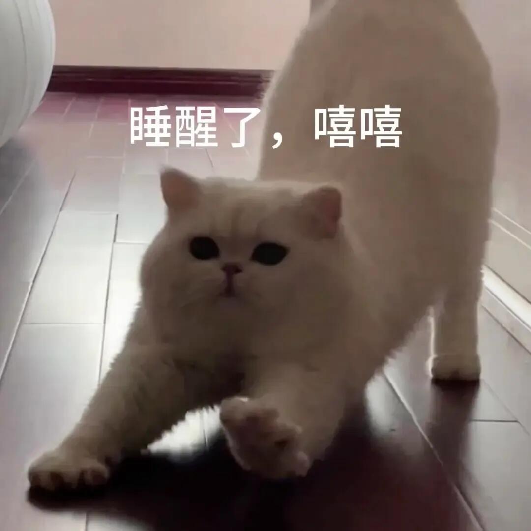 早上好🐰大家心中电竞的热血瞬间是哪个时刻呢？兔玩早安时间​​​