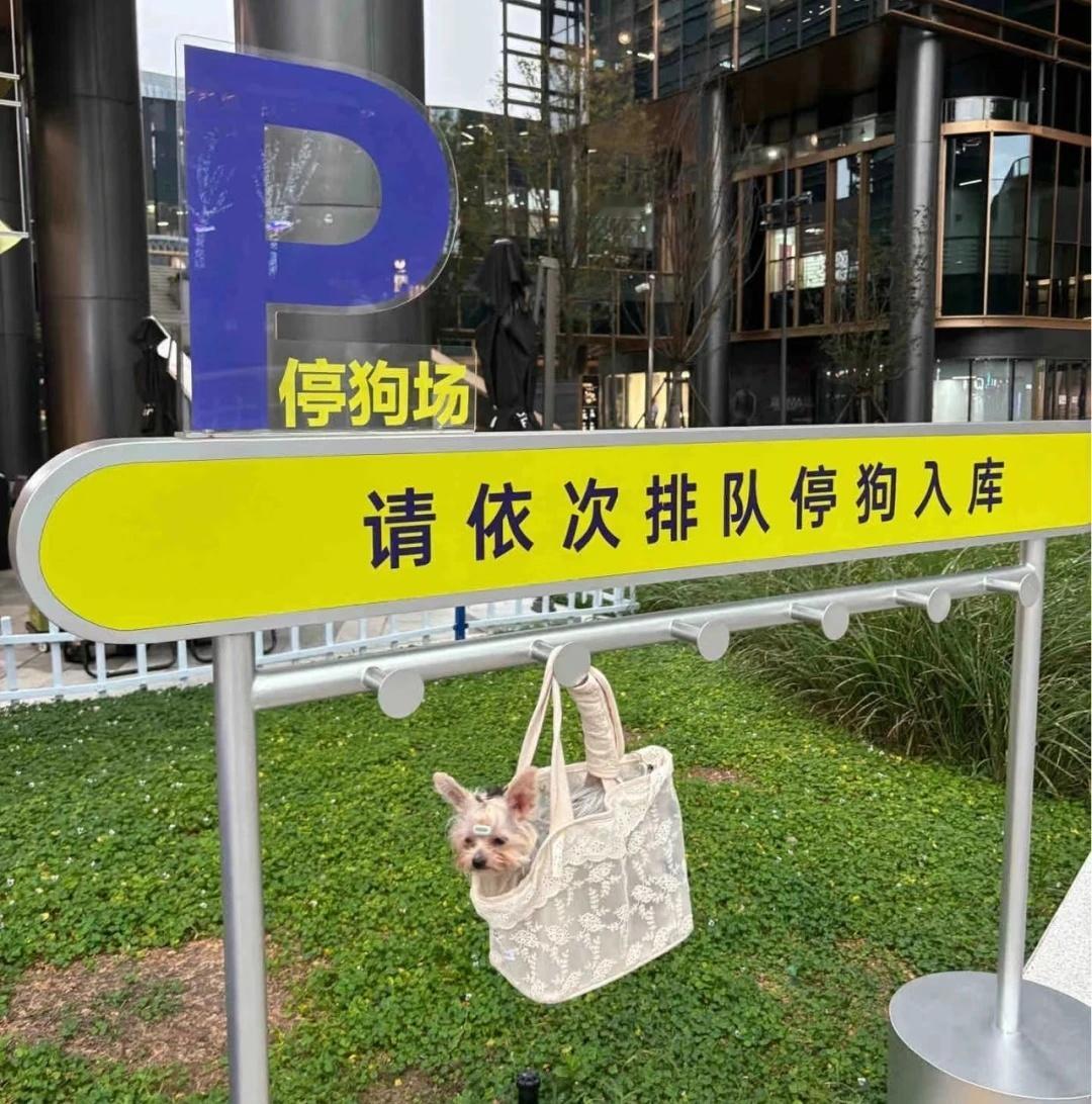 上海的泊狗位竟然已经有空调了还得是大城市香啊！上海连狗狗都有专用停车场了？这个装