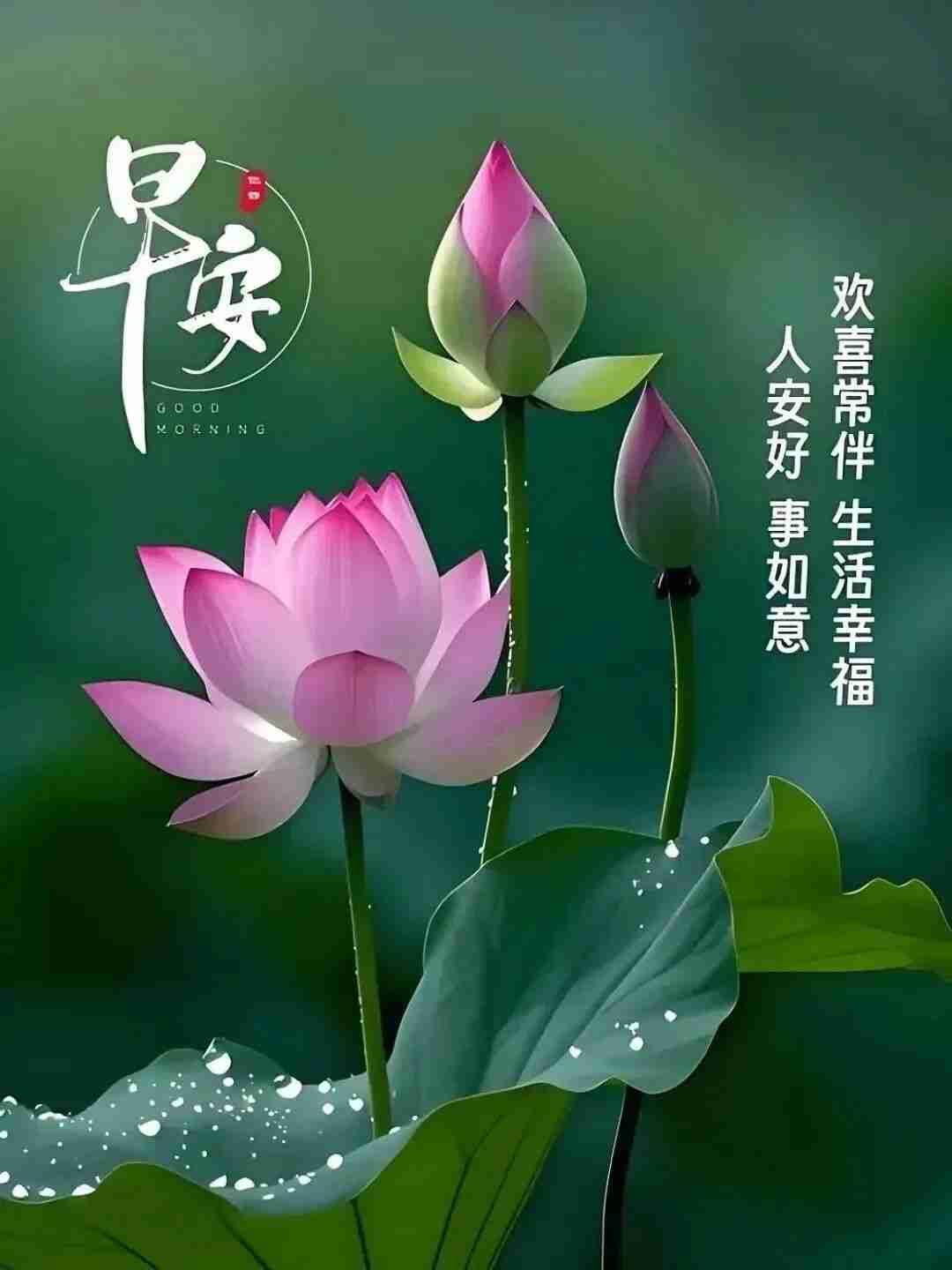 我的今日状态：😁轻松愉快我这里的天气：多云转晴，气温：零下2至零上7℃，回暖