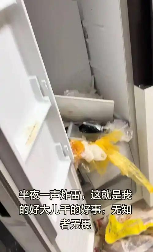 万元冰箱瞬间炸废！14岁学霸的“作死”操作，全网警醒哪有什么天衣无缝的保存？