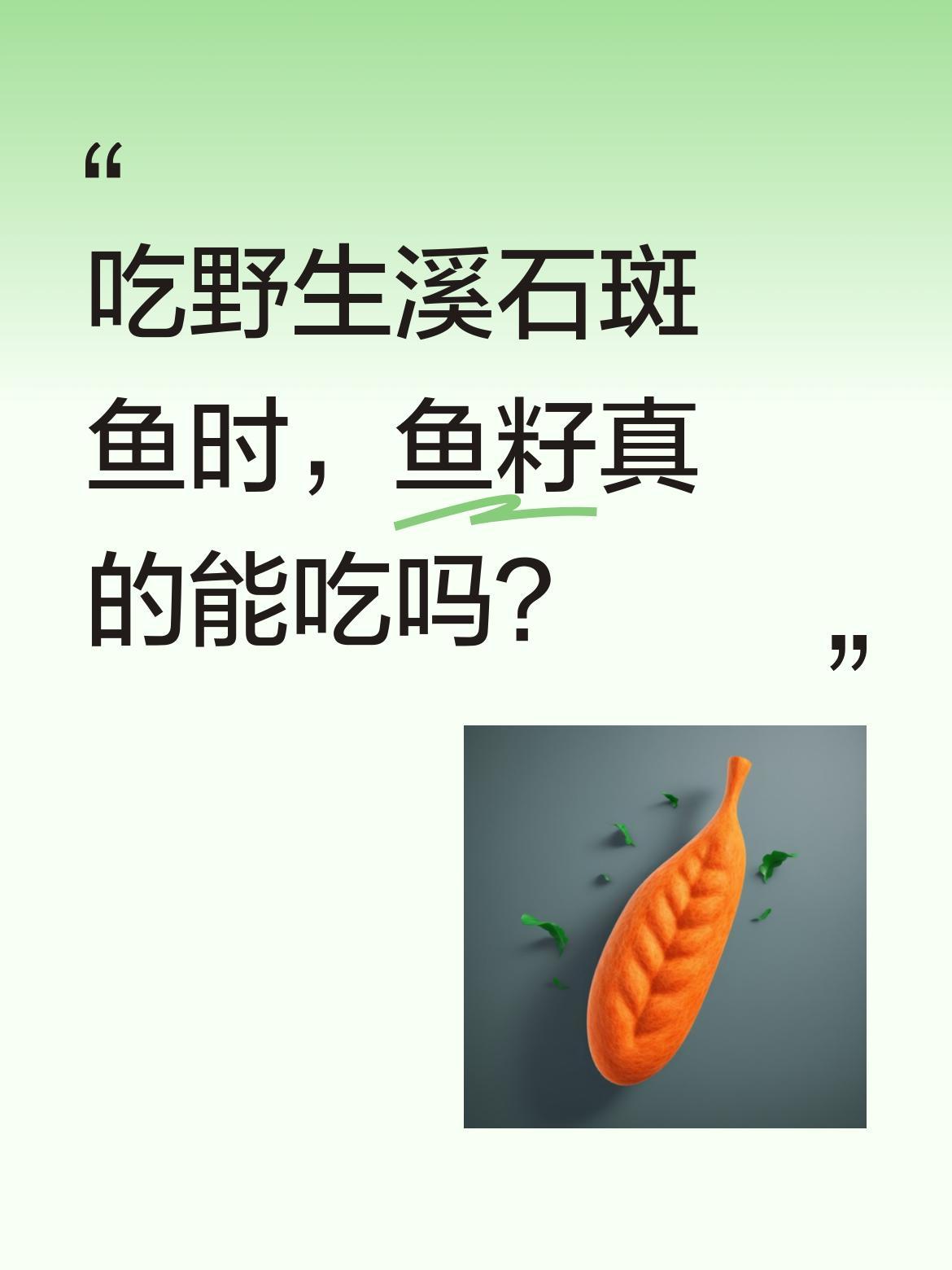 吃野生溪石斑鱼时，鱼籽真的能吃吗？浙江一男子因舍不得丢弃鱼籽，将野生溪石斑鱼籽