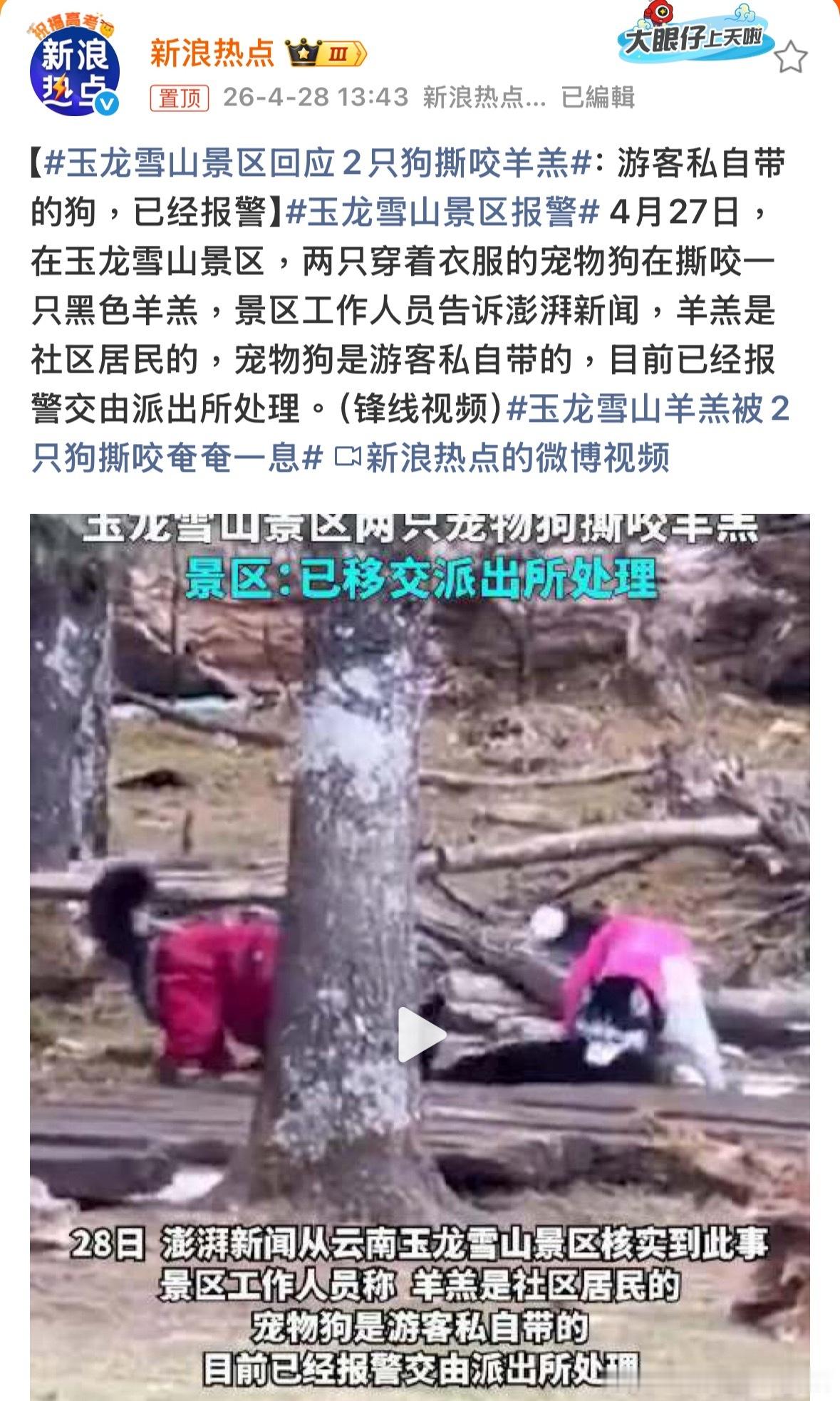 主人從來比狗可恶玉龙雪山景区报警諸葛臥龍反忽小隊