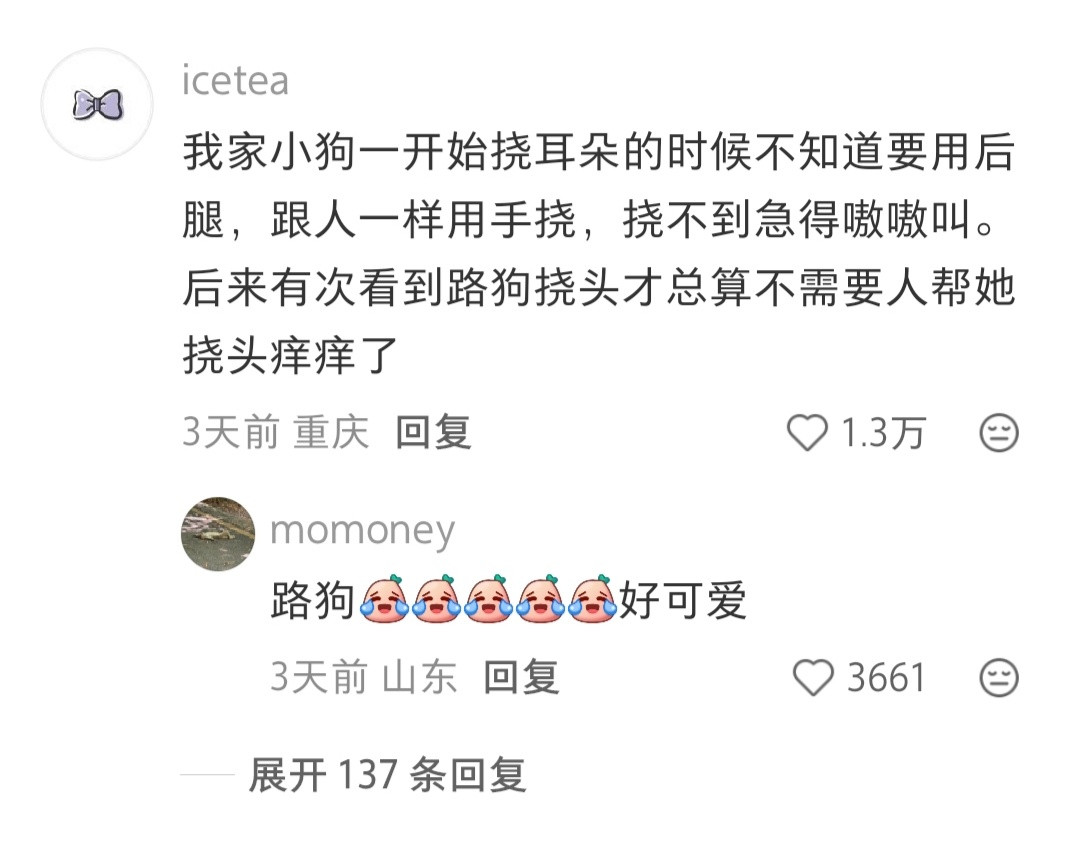 小狗不是把人当成大狗，而是把自己当成小孩子