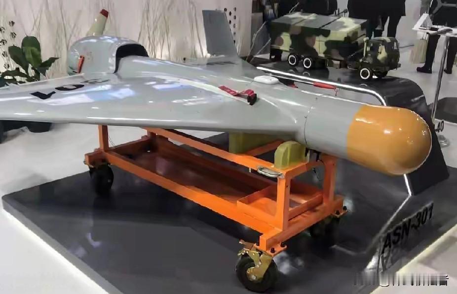 国产的ASN—301巡飞弹热了，时速150-200公里，几个小时就可以跨越海峡覆