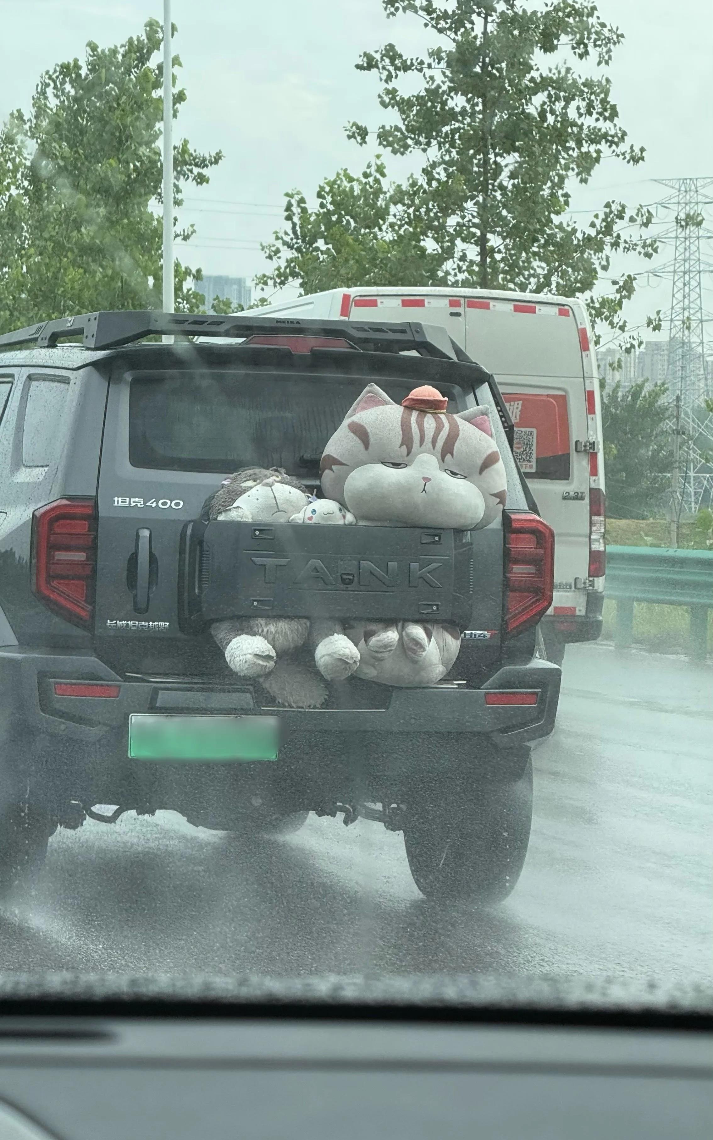 车主是个幽默的人。