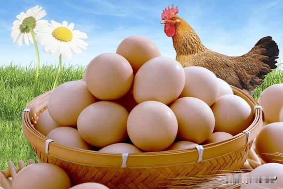 我家每人每天一个蛋，还不包括做菜用的蛋。现在一般的家庭，大多还是买好一点饲料鸡蛋