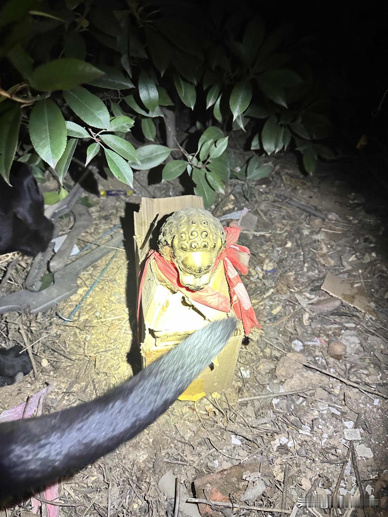 草丛中发现这个东西，这是啥？今天半夜又是往常一样带我家狗子去河边散步，狗子在河