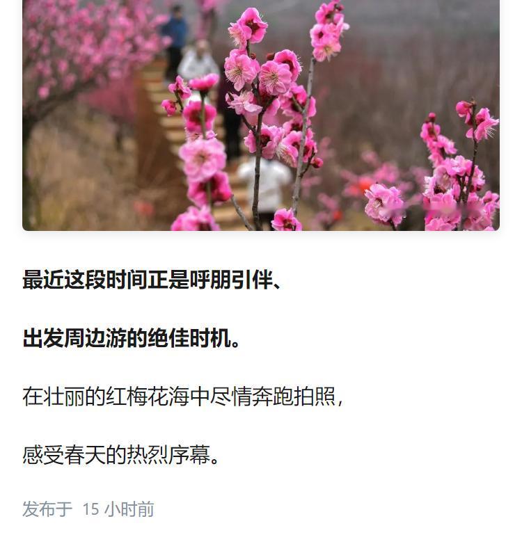 春天西安周边什么地方好踏青？