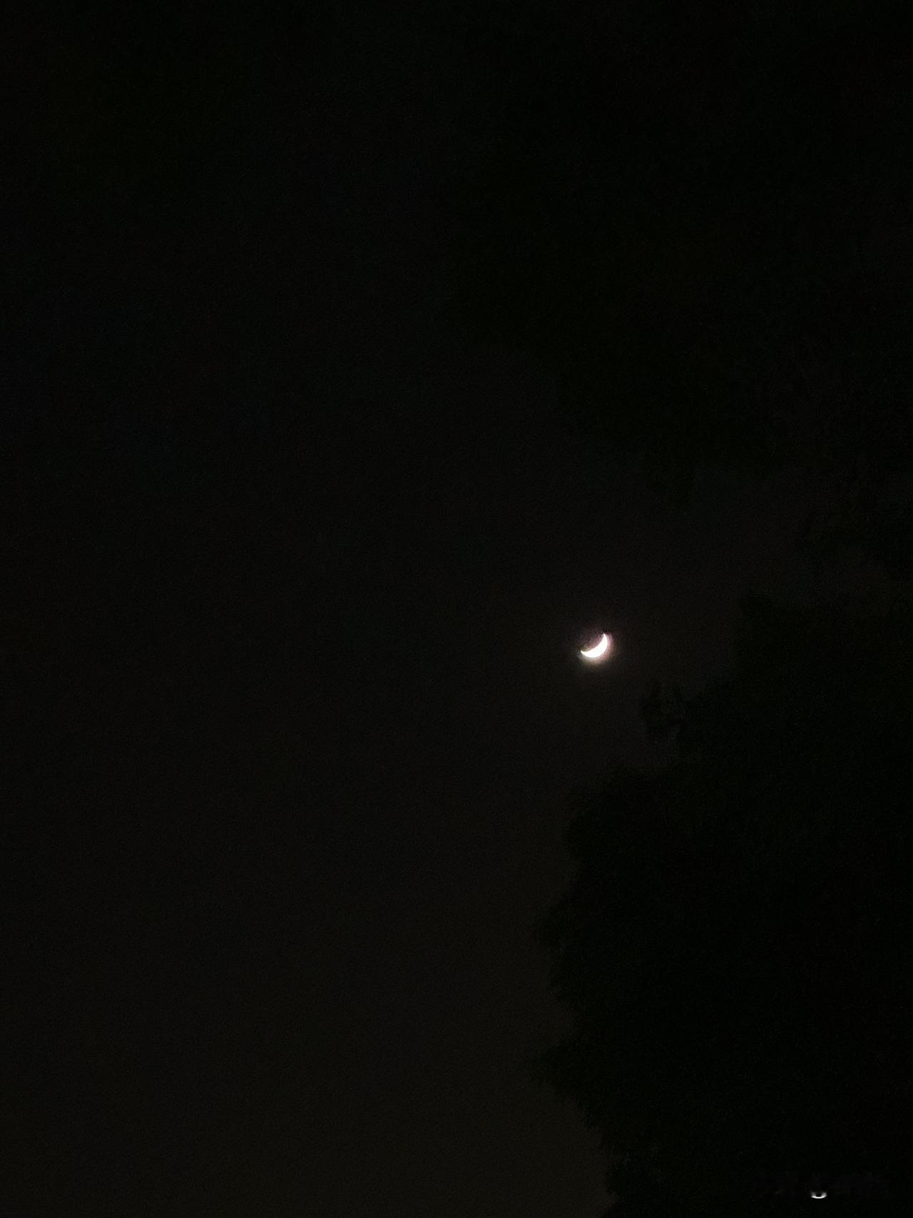 今晚终于看到了月亮🌙