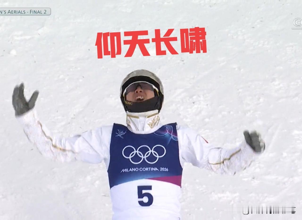 王心迪兴奋地冲向场内，激动地仰天长啸，他值得拥有这枚自由式滑雪空中金牌。从小决赛