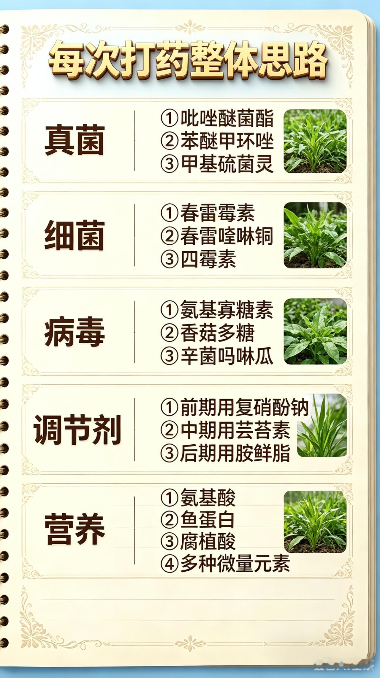 三农种植病虫害防治农资经销杀菌剂