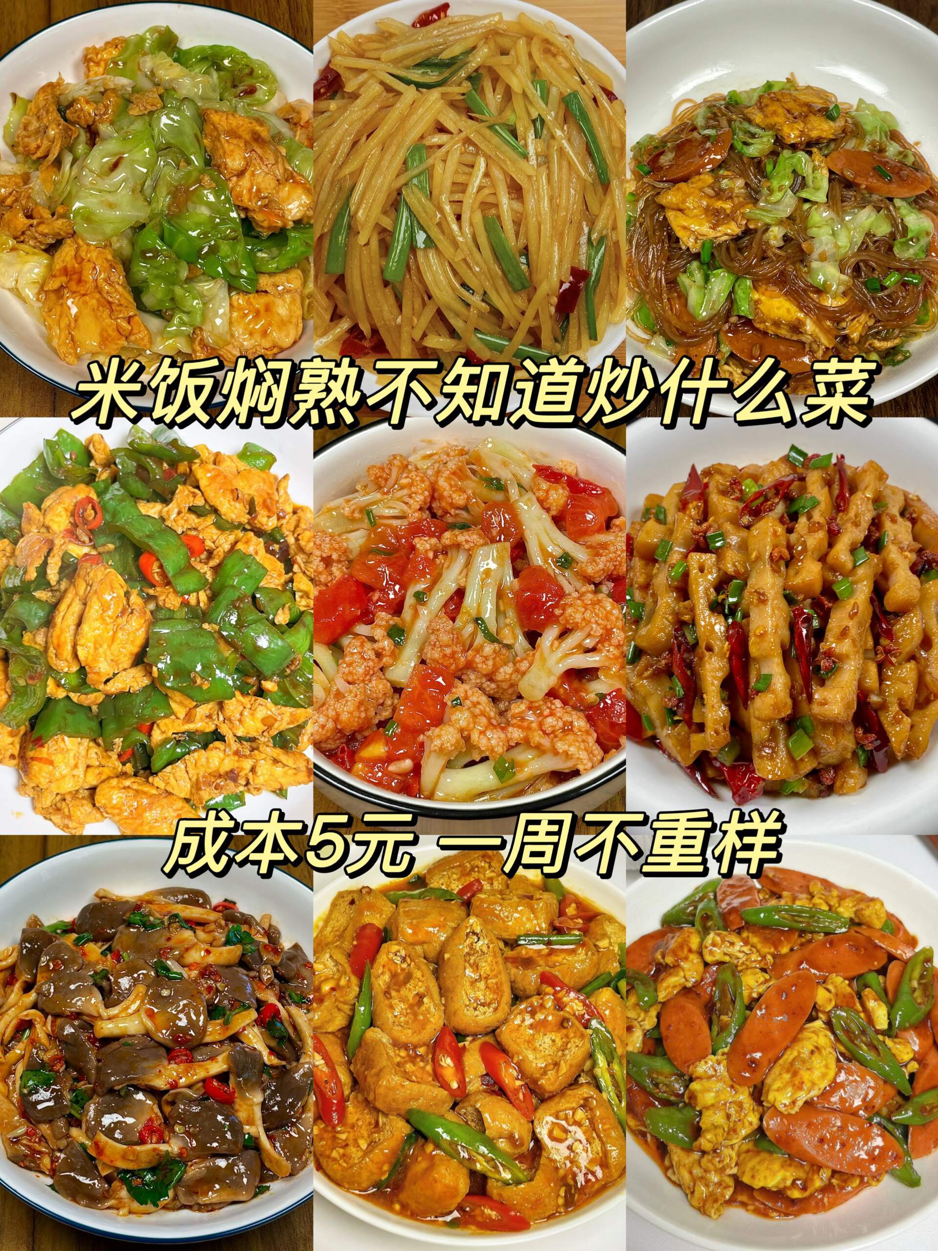 9道5元家常素菜🥬一周晚餐不重样🔥