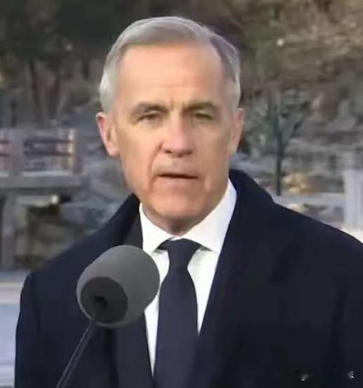 卡尼反击来了！面对特朗普“100%关税”的强硬要求，加拿大没有跪，没有求，而是