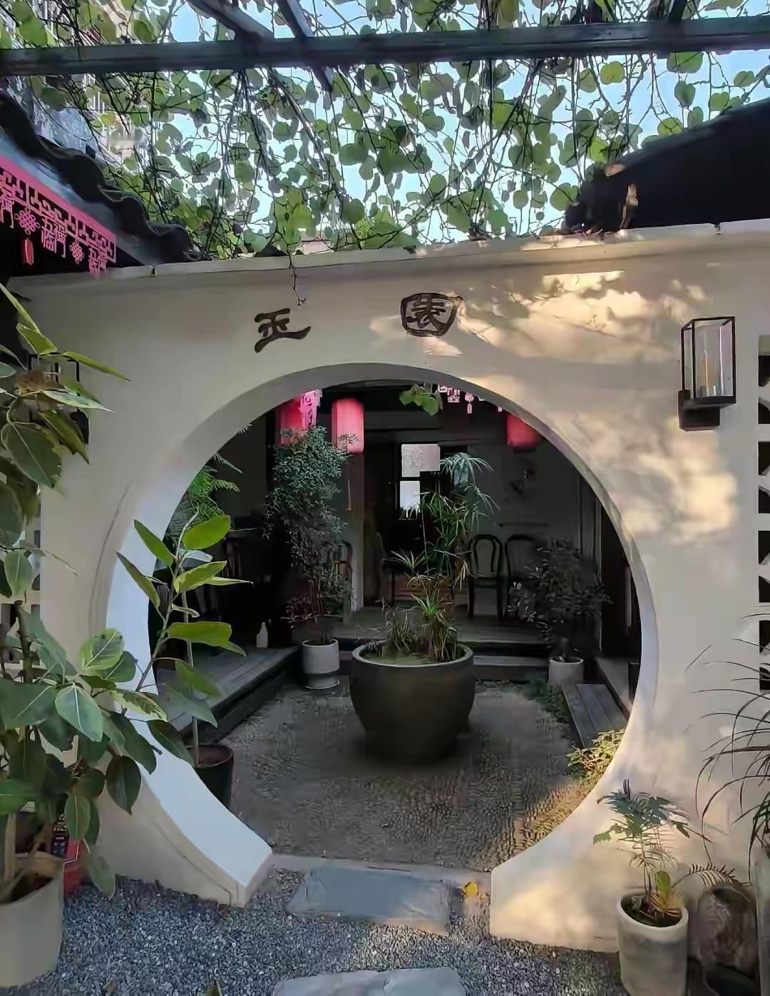 何晴的老宅子就这么被大家看光了。那个江南小院成了咖啡馆，葡萄藤还是她小时候那