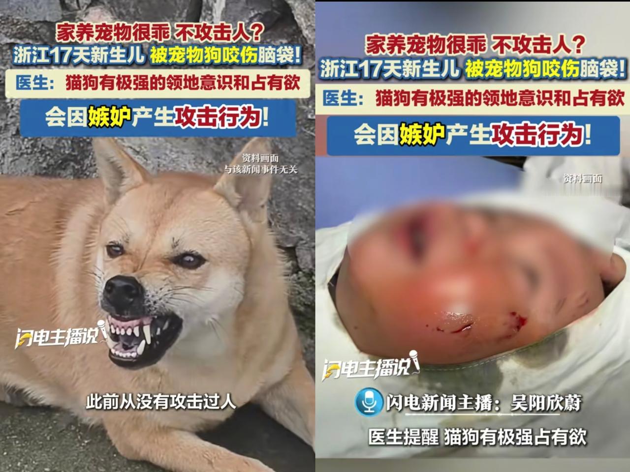 17天新生婴儿被宠物狗咬伤脑袋，家人痛心：它平时很乖，医生的回应恍然大悟！据
