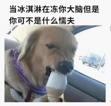 可不是什么懦夫