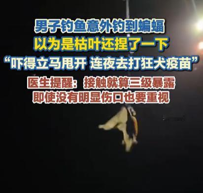 “真吓人！”9月22日报道，广东佛山，一男子钓鱼时，意外钓到了一只蝙蝠，他当时不