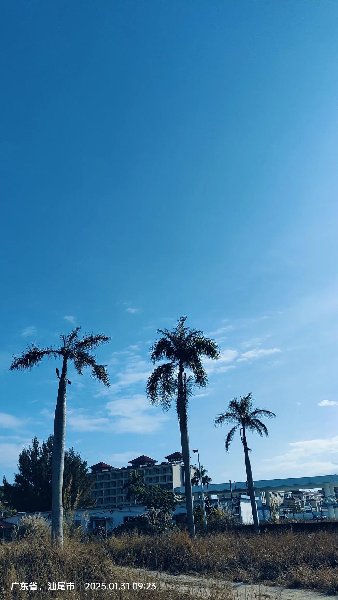 看到南昌大学的校园秋招广告，我决定，再也不要逼孩子拼命学习了。南昌大学2025