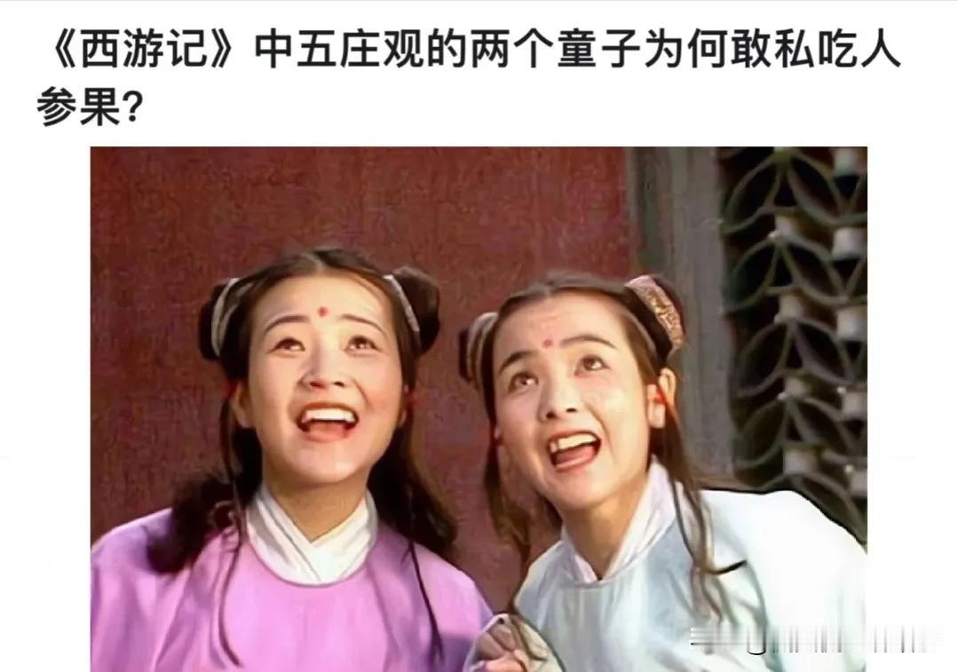 《西游记》里五庄观那俩童子清风明月，敢私吃人参果真不奇怪——在镇元子眼里，这俩哪