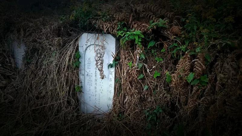 亡父坟墓惊现盗洞女儿报警这是大批蜜蜂来了而出现的怪事。云南泸西县的张女士，父