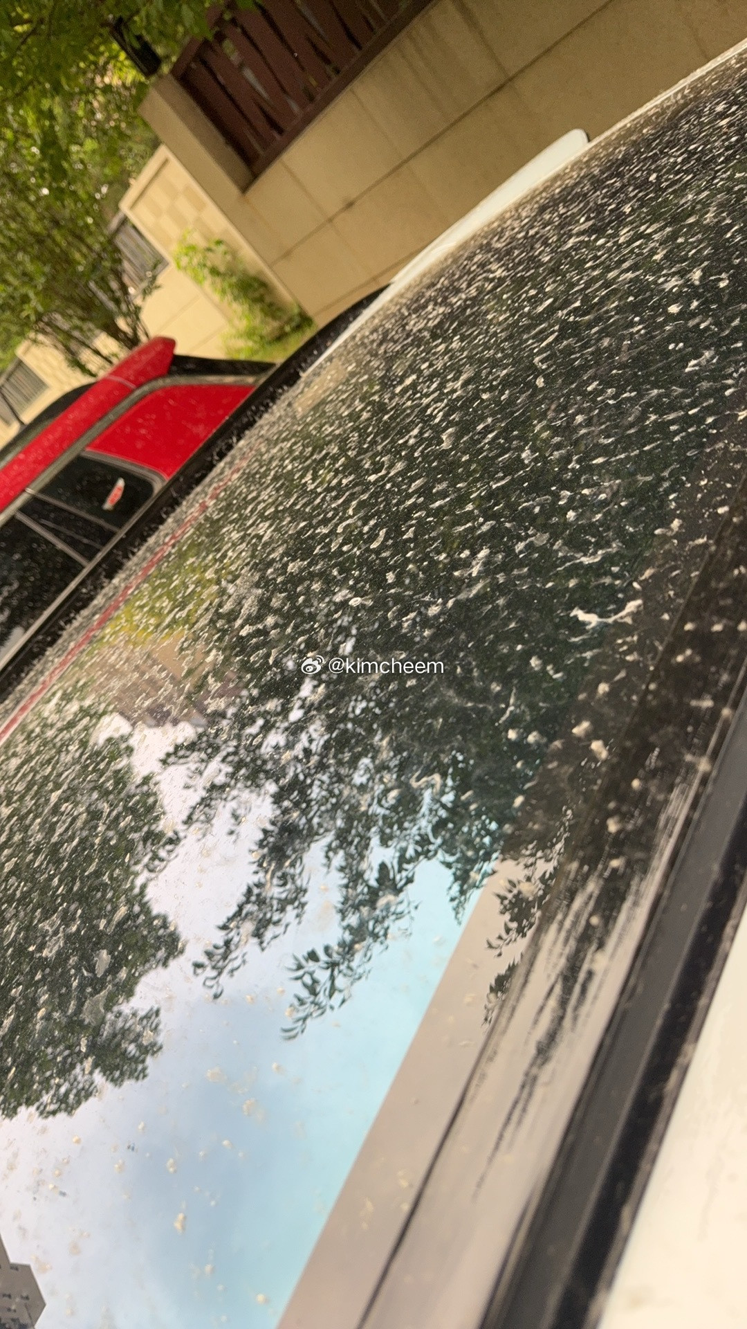 极氪洗个车168元，没舍得等着下雨了🌚🌚🌚​​​
