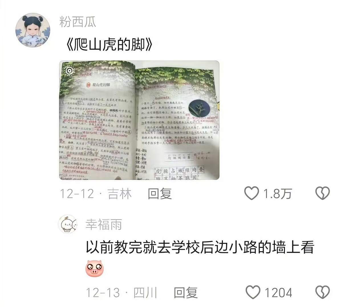 我的妈呀，把思绪拉回到十几年前上小学的时候了