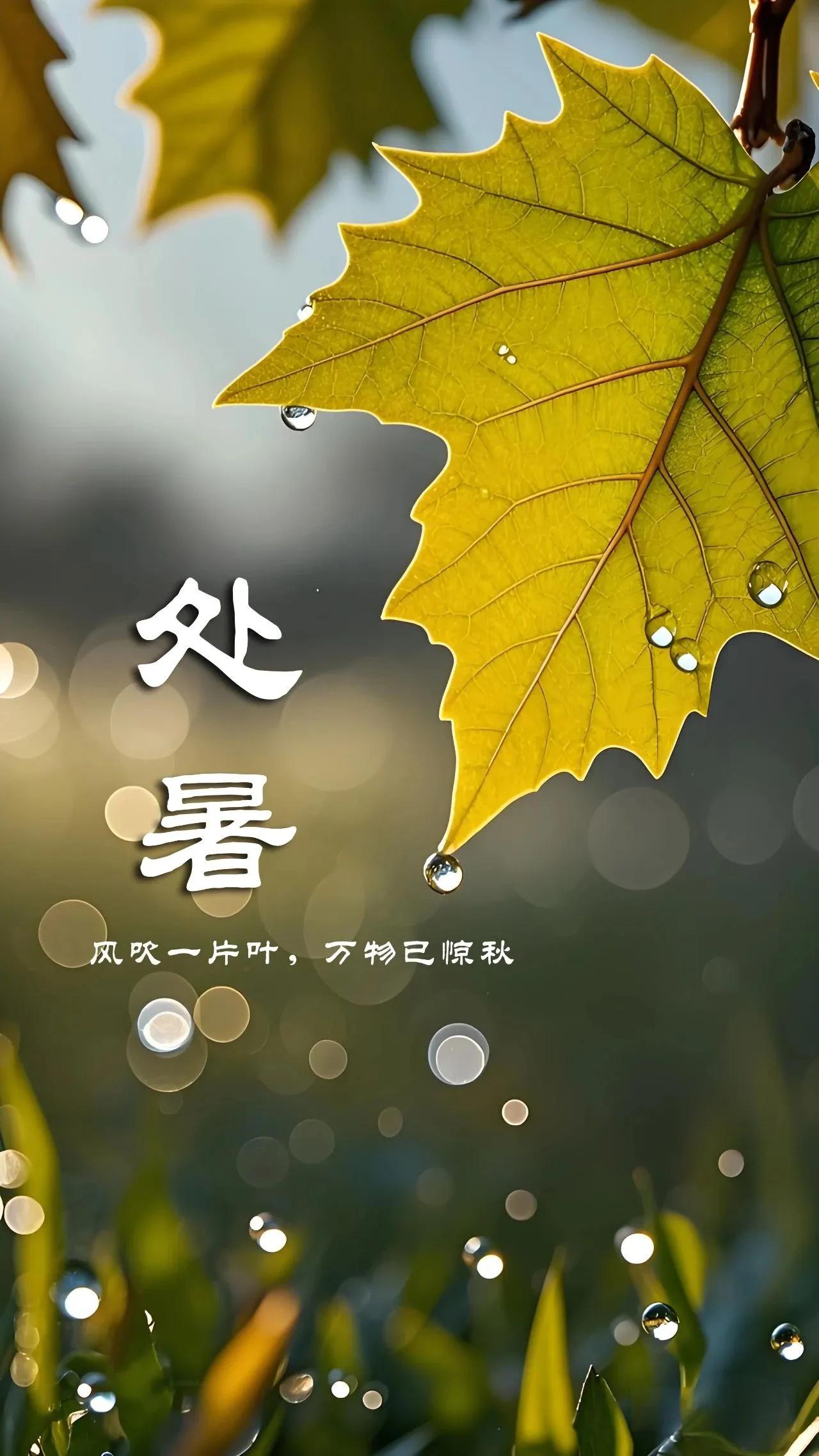 今日处暑。所谓处暑，便是暑尽的意思。〔宋〕苏泂有诗：处暑无三日，新凉直