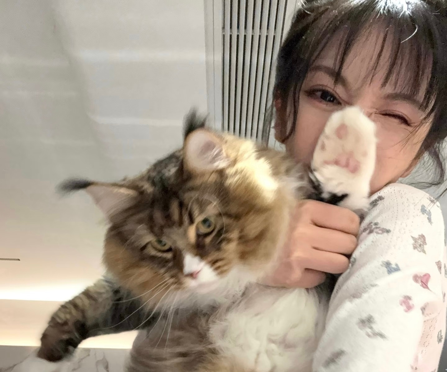 田曦薇丁禹兮猫塑这块田曦薇丁禹兮两人就是猫猫本猫吧，还都养了🐱，这边建议你俩还